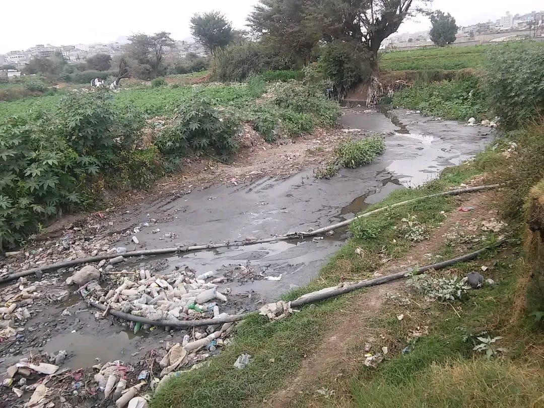 ​مائدة الموت البطيء: رحلة مياه الصرف الصحي من قنوات التصريف إلى حقول ميتم ويريم..